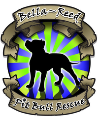 BELLA-REED PIT BULL RESCUE