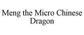 MENG THE MICRO CHINESE DRAGON