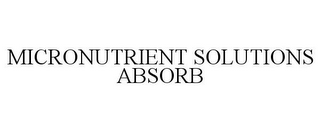 MICRONUTRIENT SOLUTIONS ABSORB