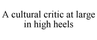 A CULTURAL CRITIC AT LARGE IN HIGH HEELS