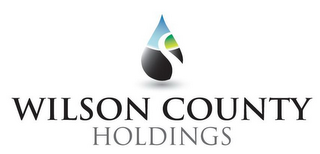 WILSON COUNTY HOLDINGS