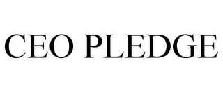 CEO PLEDGE