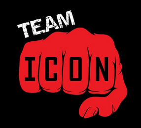 TEAM ICON