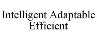 INTELLIGENT ADAPTABLE EFFICIENT