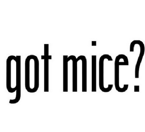 GOT MICE?