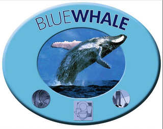 BLUE WHALE