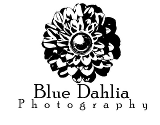 BLUE DAHLIA PHOTOGRAPHY