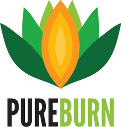 PUREBURN