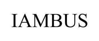 IAMBUS