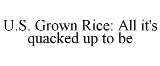 U.S. GROWN RICE: ALL IT'S QUACKED UP TO BE