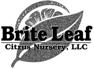 BRITE LEAF CITRUS NURSERY, LLC