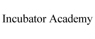 INCUBATOR ACADEMY