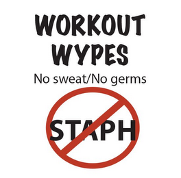 WORKOUT WYPES NO SWEAT/NO GERMS STAPH