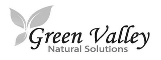 GREEN VALLEY NATURAL SOLUTIONS