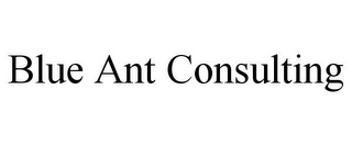 BLUE ANT CONSULTING