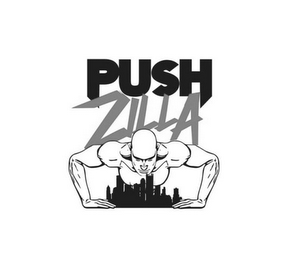 PUSH ZILLA