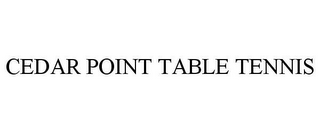 CEDAR POINT TABLE TENNIS