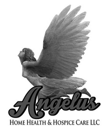 ANGELUS HOME HEALTH & HOSPICE CARE