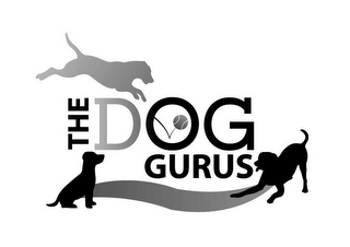 THE DOG GURUS