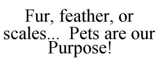 FUR, FEATHER, OR SCALES... PETS ARE OUR PURPOSE!