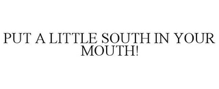 PUT A LITTLE SOUTH IN YOUR MOUTH!