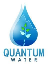 QUANTUM WATER