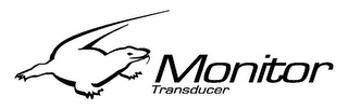 MONITOR TRANSDUCER