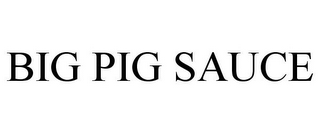 BIG PIG SAUCE