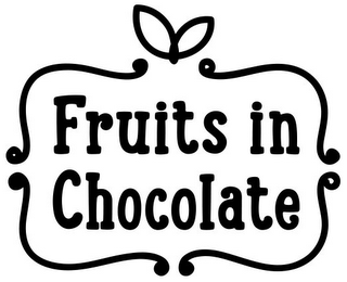 FRUITS IN CHOCOLATE