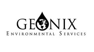 GEONIX ENVIRONMENTAL SERVICES