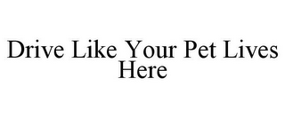 DRIVE LIKE YOUR PET LIVES HERE