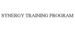 SYNERGY TRAINING PROGRAM