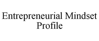 ENTREPRENEURIAL MINDSET PROFILE