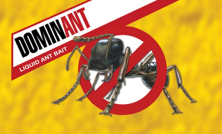 DOMINANT LIQUID ANT BAIT