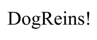 DOGREINS!