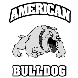 AMERICAN BULLDOG