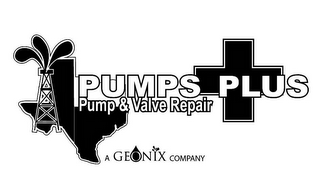 PUMPS PLUS PUMP & VALVE REPAIR A GEONIX COMPANY