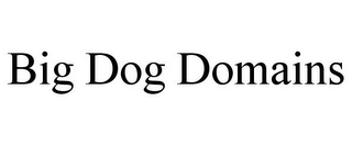 BIG DOG DOMAINS