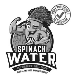 WHAT YOU SHOULD BE DRINKING SW SPINACH WATER GET STRONGER, LIVE LONGER HERBAL INFUSED SPINACH WATER