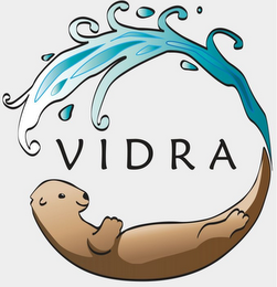 VIDRA