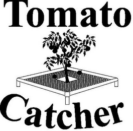 TOMATO CATCHER