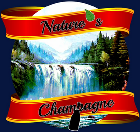 NATURE'S CHAMPAGNE