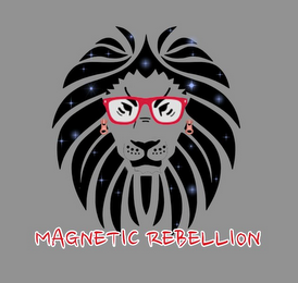 MAGNETIC REBELLION