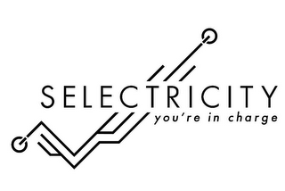 SELECTRICITY YOU'RE IN CHARGE