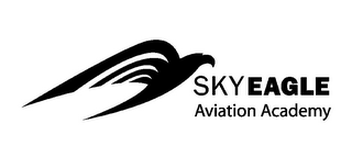 SKYEAGLE AVIATION ACADEMY