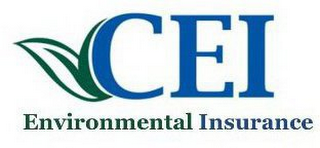 CEI ENVIRONMENTAL INSURANCE