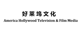 AMERICA HOLLYWOOD TELEVISION & FILM MEDIA