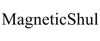 MAGNETICSHUL
