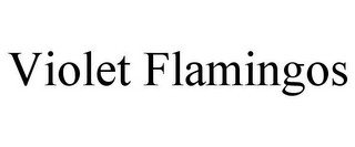 VIOLET FLAMINGOS
