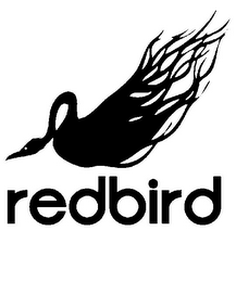 REDBIRD